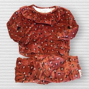 Btween 2t Rust Red Ditsy Floral Velour Sweater Pants Set Outfit